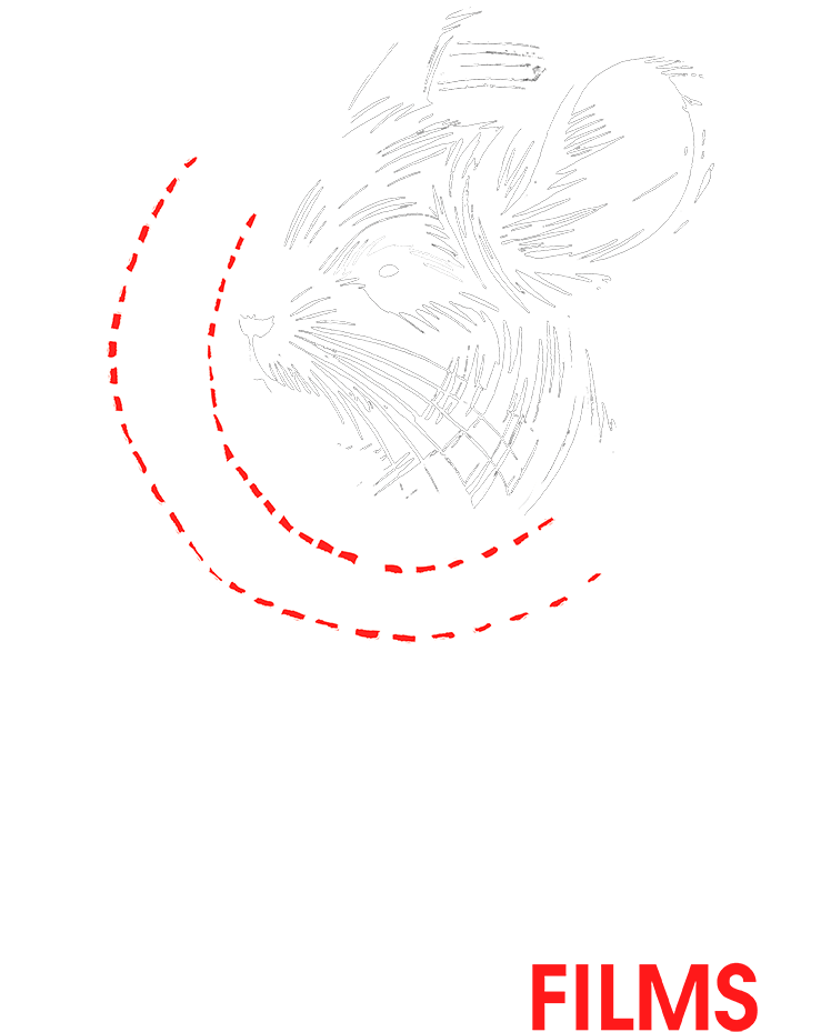 Chinchilla Films